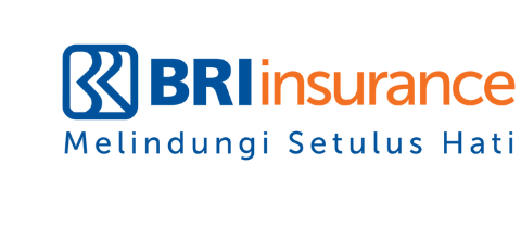 BRI Insurance